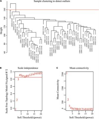 Immune-Related Genes Are Prognostic Markers for Prostate Cancer Recurrence